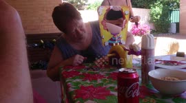 Pie Face, Pie-Eyed Grannie