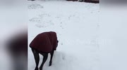 temp