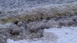 Mystery ice balls wash up on Russia's northwest coast