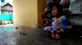 Child gets upset when she can't catch pet cat