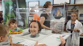 The Entomica Bug Challenge. Head in Box.