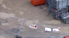 Tempête Carmen à Toulouse / Carmen storm in Toulouse january 01st 2018