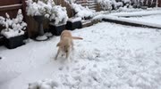 temp