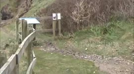 Storm Eleanor hits Port Gaverne