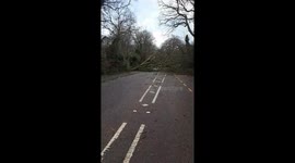 Eleanor hits a tree in Stamore