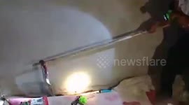 Cobra caught after killing nine-year-old girl as she slept in bed