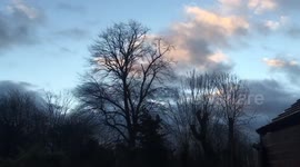 Spooky Trees shaken by Storm Eleanor in Derbyshire