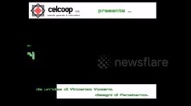 Dai pesci ai dinosauri (1990/1991?) - Documentario DOS