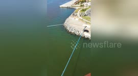 Newsflare Edit - Sea lions swimming and sunning themselves viewed from cruise ship