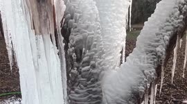 South Carolina man creates ice tree sculpture during deep freeze
