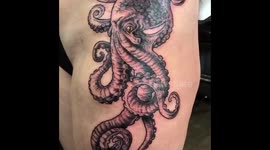 Kraken cover-up
