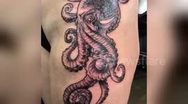Newsflare Edit - Kraken cover-up