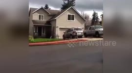 Newsflare Edit - Drunk Dog Fail