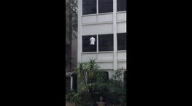 Man cleaning windows from a height with no safety equipment at Bangkok hospital
