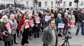 Pro-Brexit Rally in London, UK