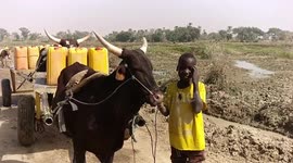 small children holding barrels of water for hours to reach their home