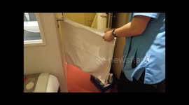 How to Make a Swan Towel Animal on a Cruise Ship