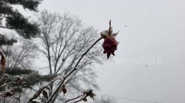 Snowing on a winter rise against the sky