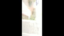 Humming Bird early in the morning