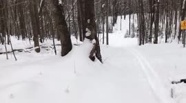 XC Skiing Wipeouts-She Just Can't Get Up!