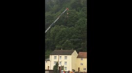 Tree felling by steven heard