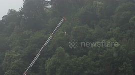 Tree being released by steven heard