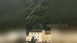 Newsflare Edit - Tree felling by steven heard