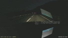 The dog run in front of me. Could not stop. Accident in Spain