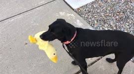 Best friends taking a walk