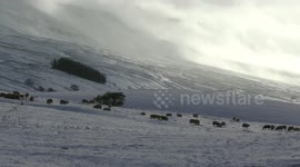 Snowy winter scenes in the Westmorland Dales