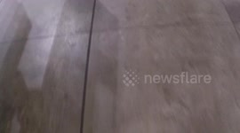 plane and airport footage