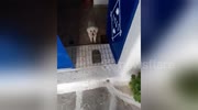 temp