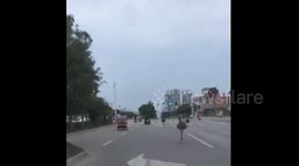Ostriches run riot on busy road in China