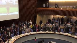 WHO officials dance to Fall Out Boy to de-stress during meeting