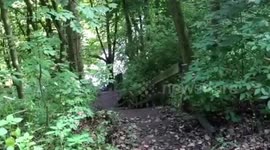 Lotus Fitness Academy stairs to hell workout