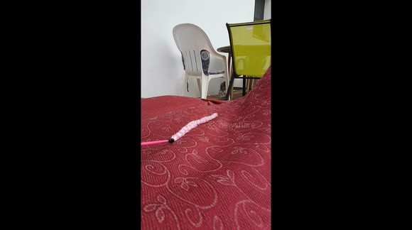 Me getting to Friday like