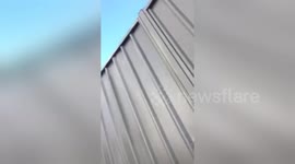 Newsflare Edit - Girl stuck under fence HILARIOUS!