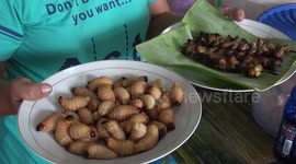 Batra, Extreme Culinary From Mentawai
