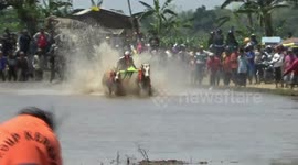 fast cockfighting tradition of brujul cow is a routine activity of probolinggo residents in each rice harvest season after arrival