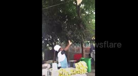 Cook throws Roti Prata on electric wire