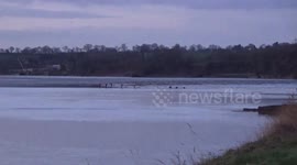 Severn Bore 1 February 2018