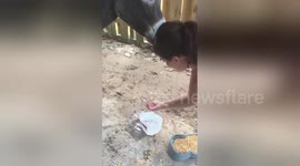 Newsflare Edit - Ima Jean- survivor of Hurricane Harvey