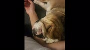 temp