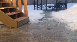 This snowball almost got away