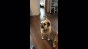 temp