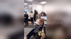 Finance team wish happy birthday in sign language for deaf colleague