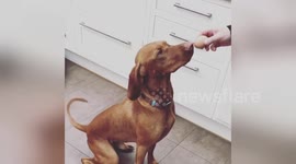 Newsflare Edit - Egg Challenge