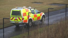 Part of 'Fox on the runway at Manchester Airport'