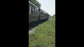 Escaped pony on railway tracks outruns oncoming train (part 2)