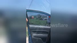 Newsflare Edit - Escaped pony on railway tracks outruns oncoming train